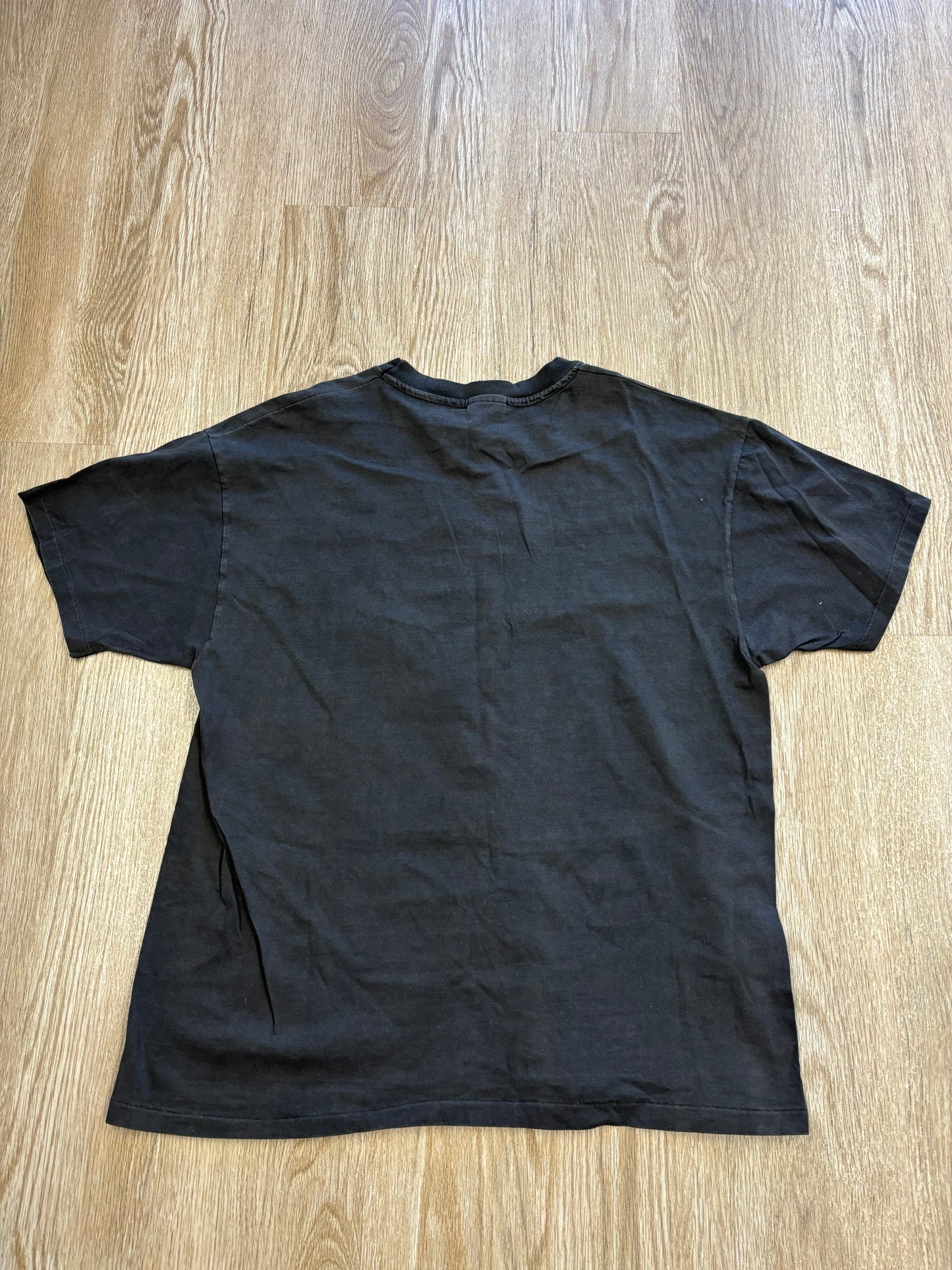 1990s Stormin’ Normans Lake George Faded Tee