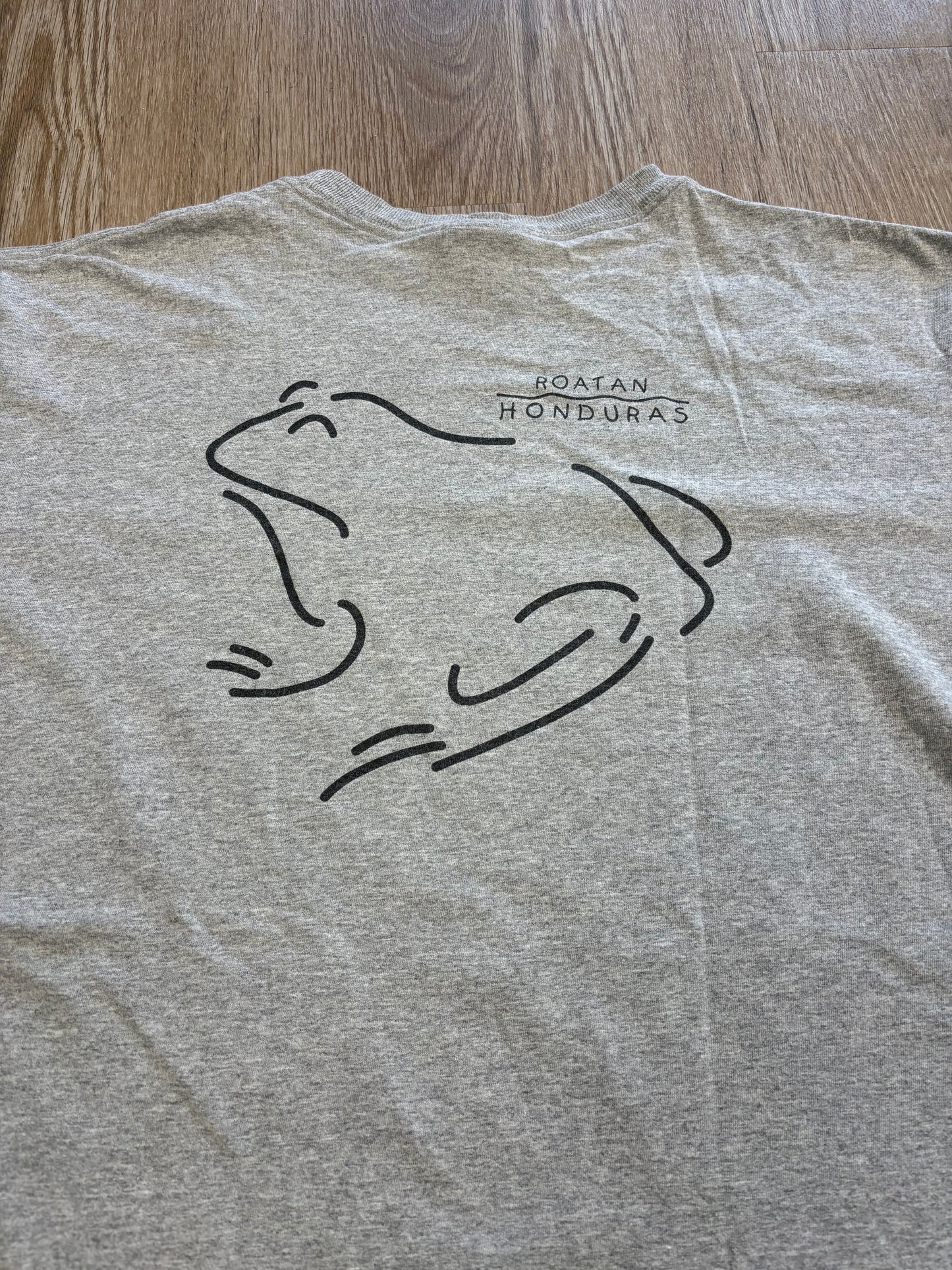 Y2K Frog Line-Work Tee