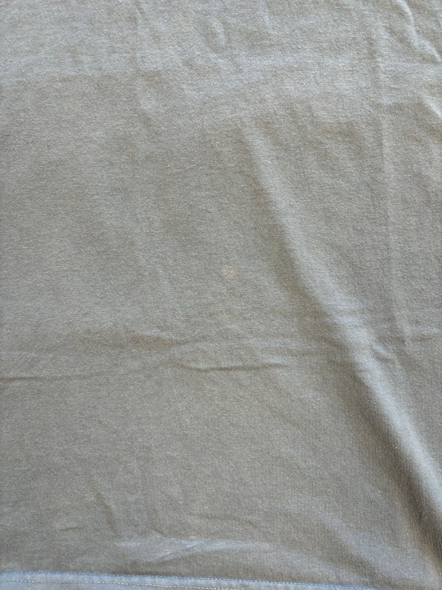 Y2K “Life is Crap” Life is Good Dog Parody Tee