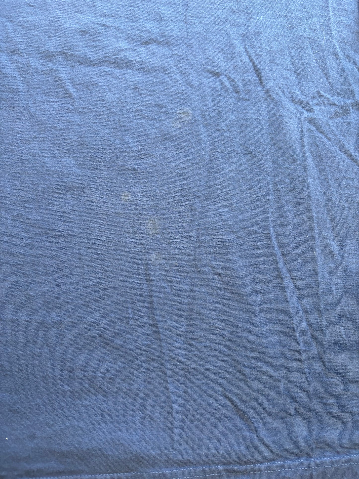 Y2K “Life is Crap” Life is Good Raunchy First-Born Parody Tee