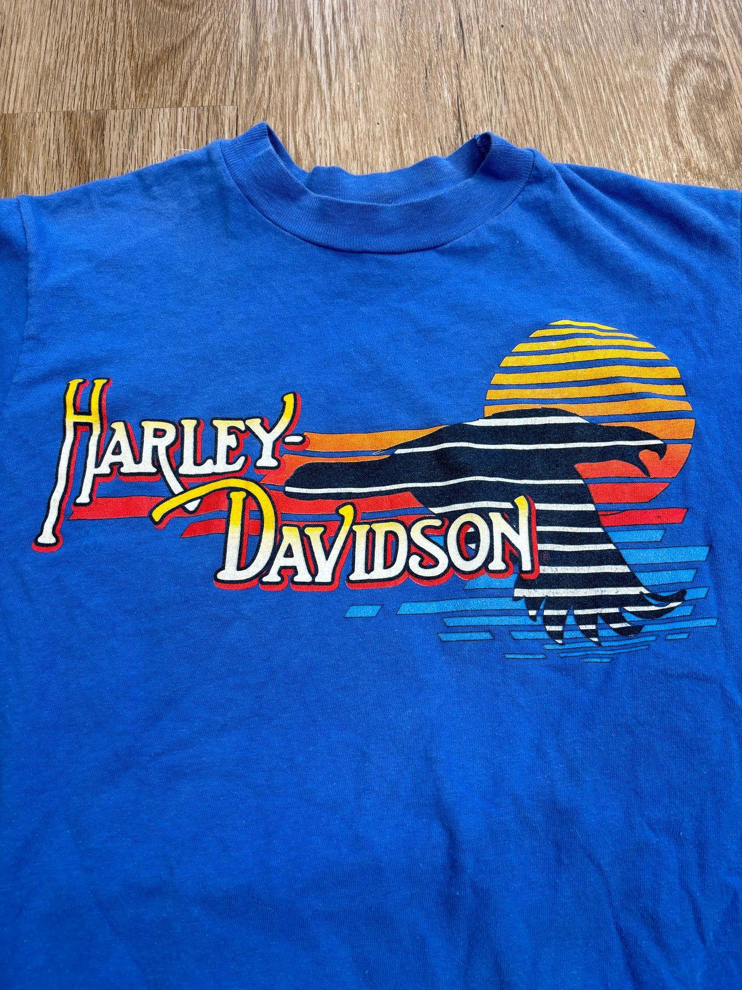 1980s-Early 1990s Harley Davidson Eagle Sunset Tee