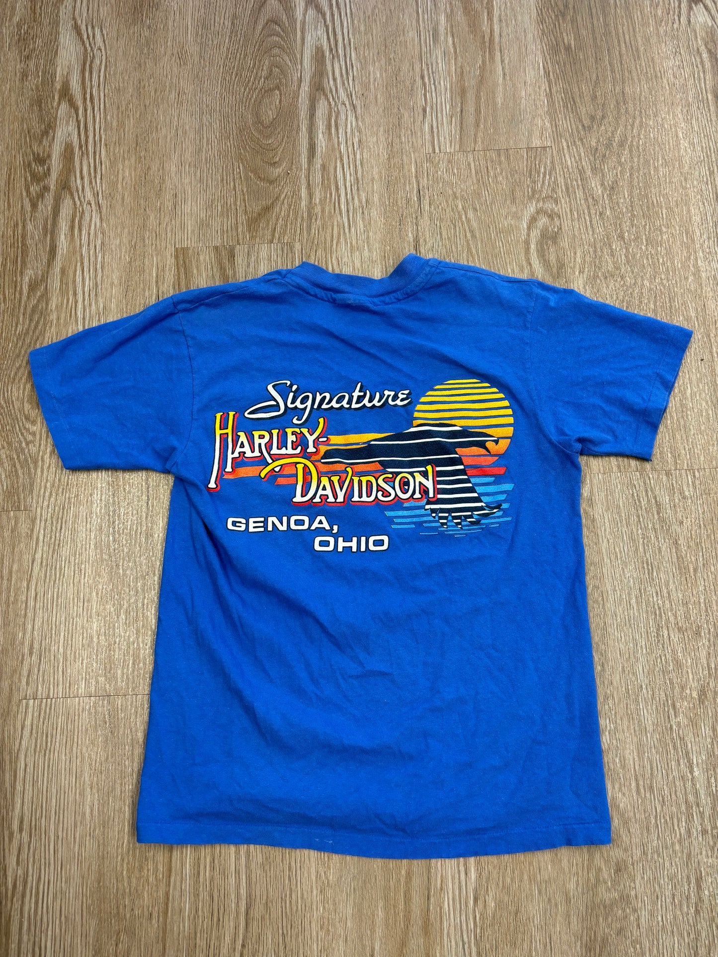 1980s-Early 1990s Harley Davidson Eagle Sunset Tee
