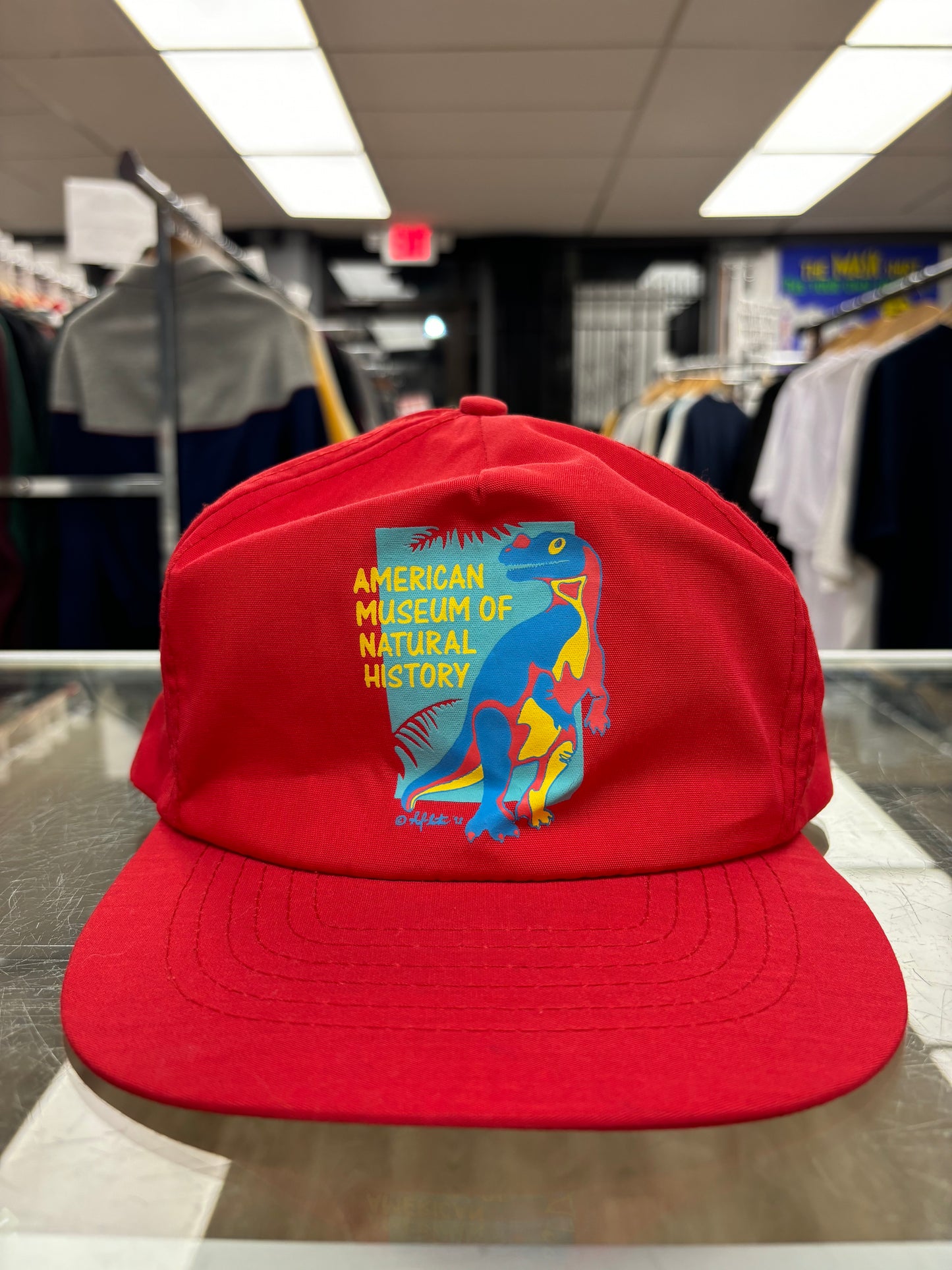 1992 American Natural History Museum Art Hat RARE