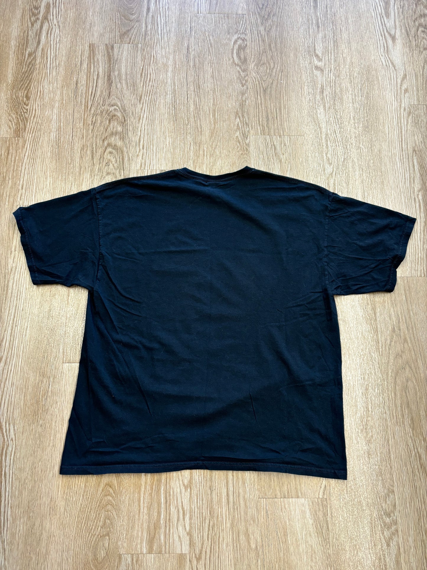 2009 Family Guy INSANE TV Show Promo Tee