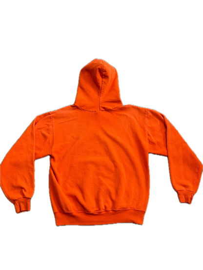 (M) Y2K Florida Gators Arc Logo Hoodie