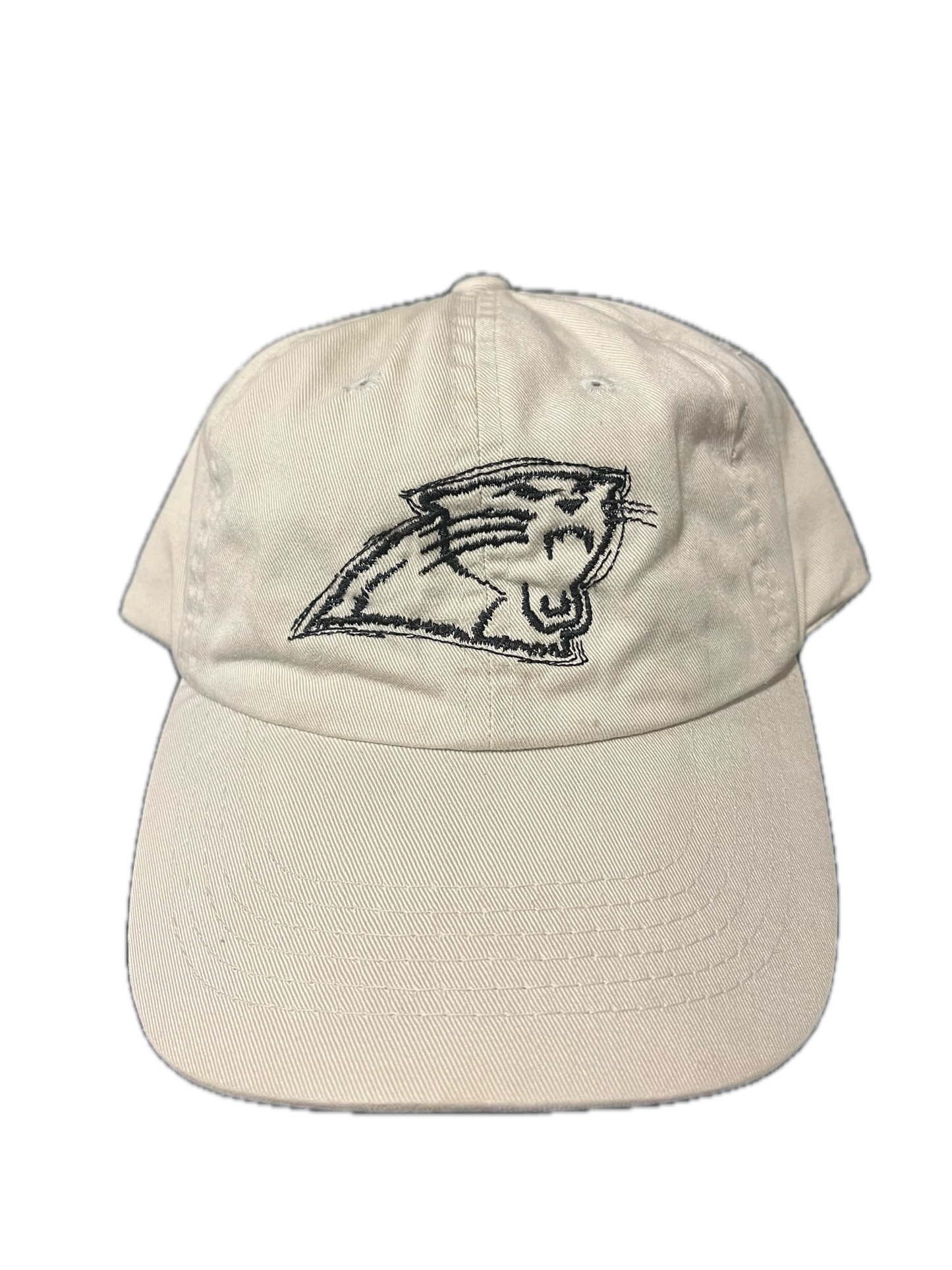 1990s Crazy American Needle Carolina Panthers Hat