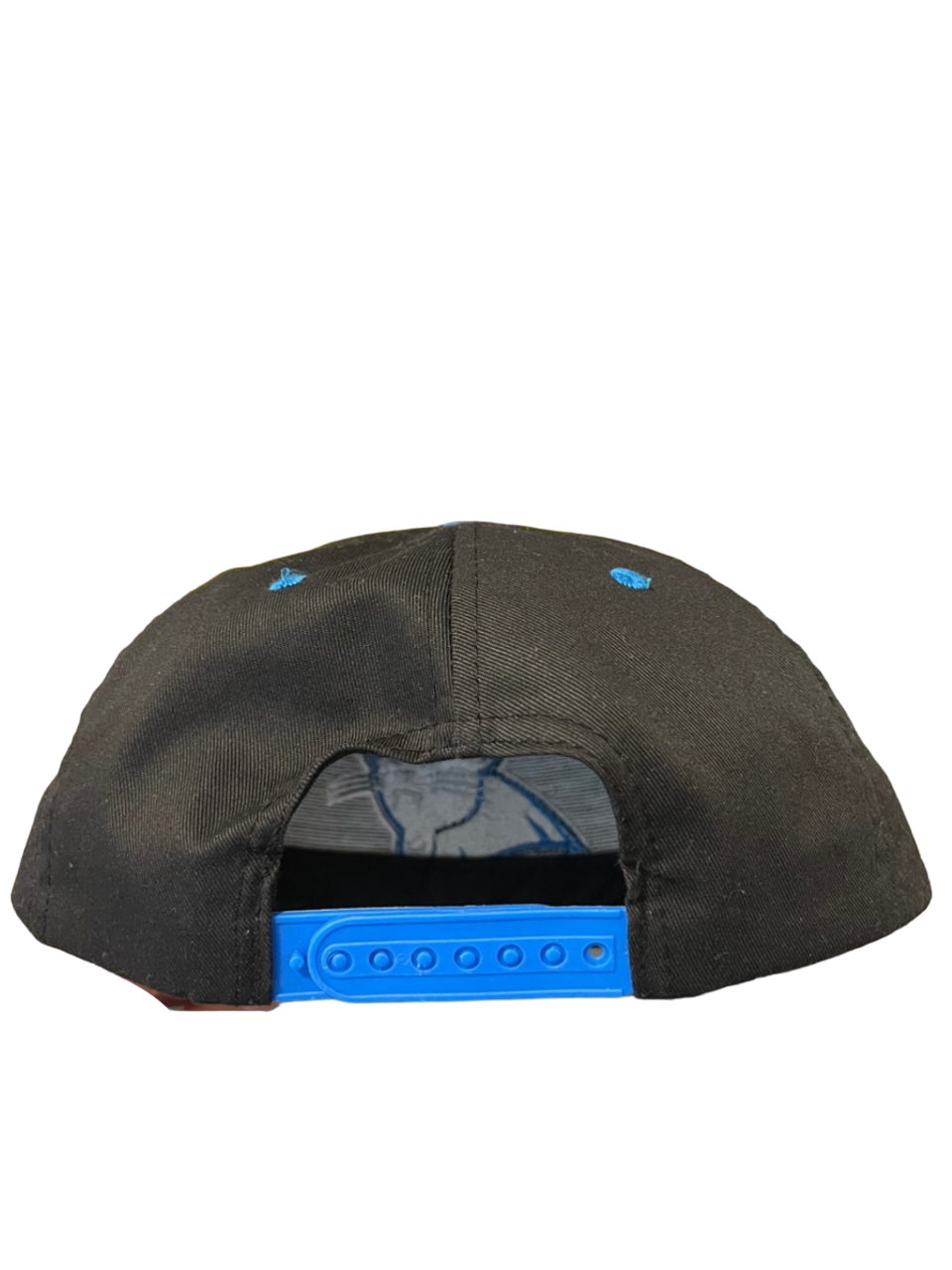 Vintage Panthers Logo 7 Hat