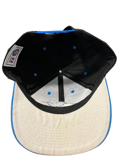 Vintage Panthers Logo 7 Hat