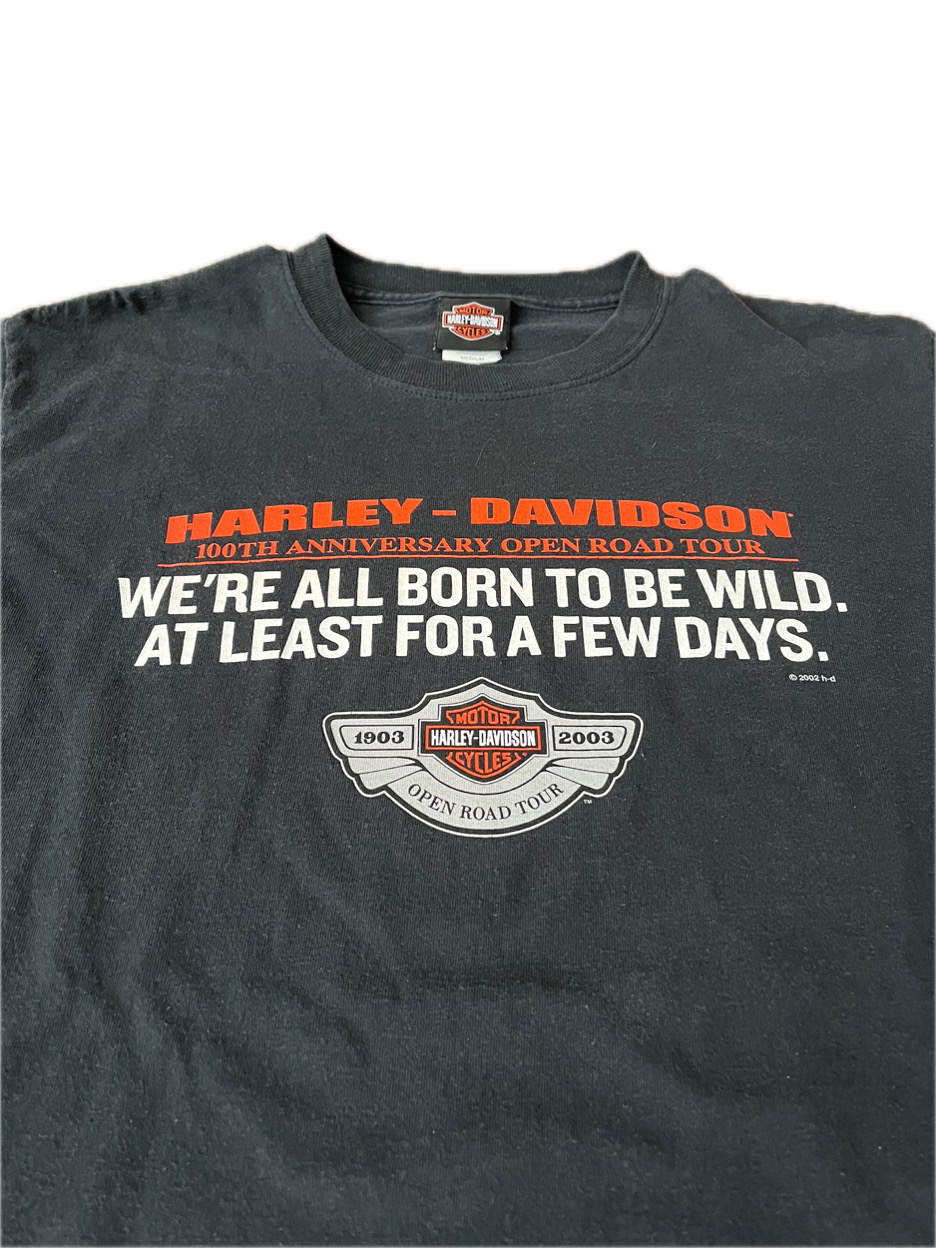 (L) 2002 Harley Davidson 100th Anniversary “Open Road Tour” Tee