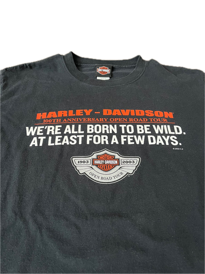 (L) 2002 Harley Davidson 100th Anniversary “Open Road Tour” Tee