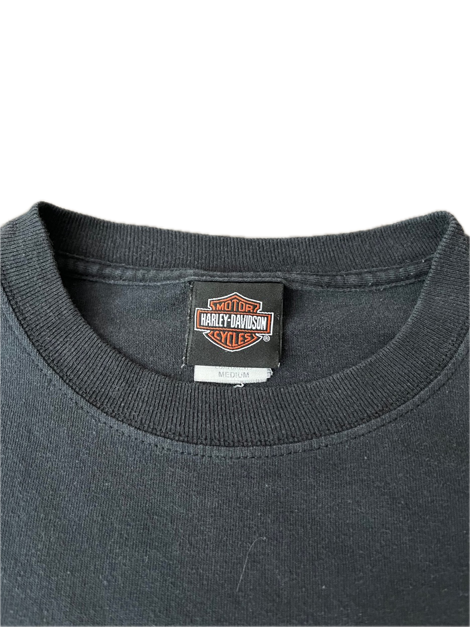 (L) 2002 Harley Davidson 100th Anniversary “Open Road Tour” Tee