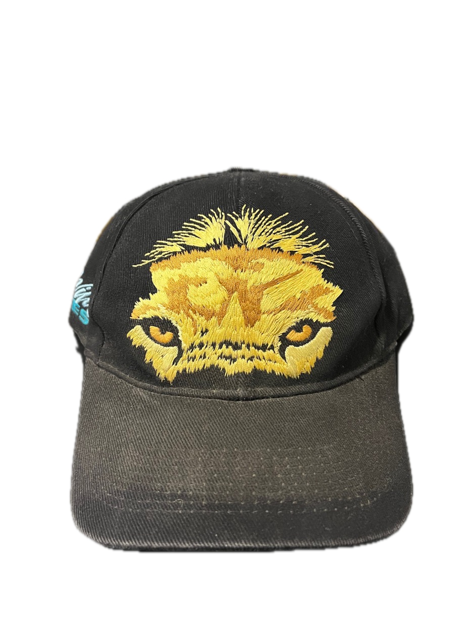 Vintage Phoenix Zoo Wild Eyes Lion Hat